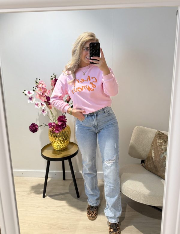 Indy Ripped Straight Jeans - Redial